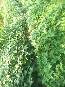 FinableKnee online show from October 9, 2025, 3:29 am