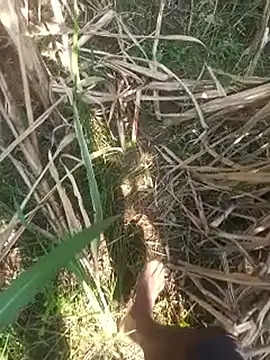 FinableKnee online show from October 16, 2025, 4:43 am