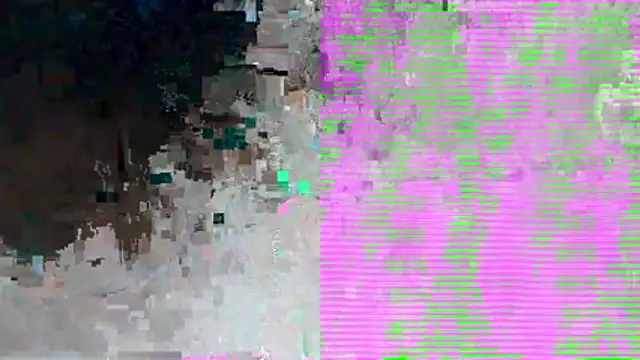 PUSSYundBAER online show from December 21, 2025, 1:52 am