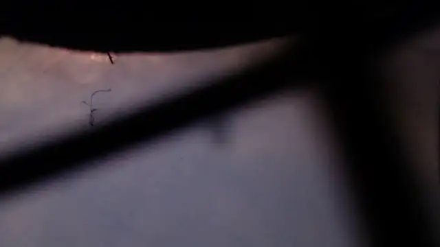 Cordt27 online show from February 12, 2026, 4:07 pm