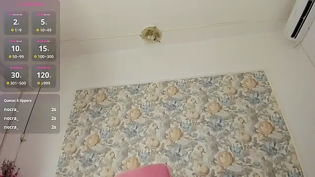 illegal lorry online show from January 10, 2026, 6:09 am