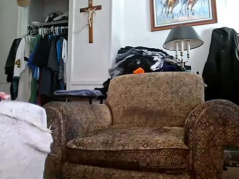 curiouscock38 online show from April 26, 2026, 11:02 pm