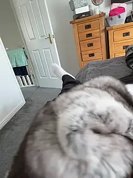 Furdale online show from June 8, 2026, 3:01 pm