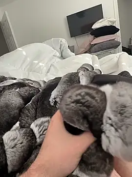 Furdale online show from November 2, 2025, 1:05 pm