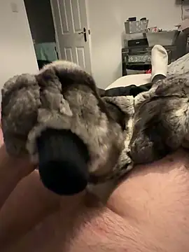 Furdale online show from November 25, 2025, 4:40 pm