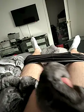 Furdale online show from October 13, 2025, 1:56 pm