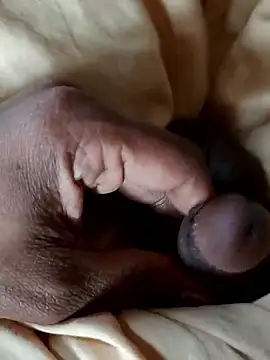 malluflash online show from January 10, 2026, 9:04 am