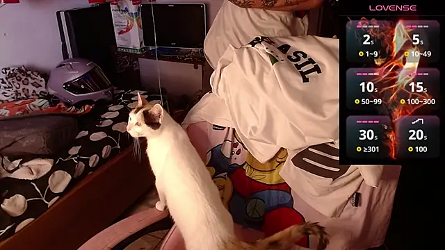 Apolo S online show from February 17, 2026, 5:32 pm