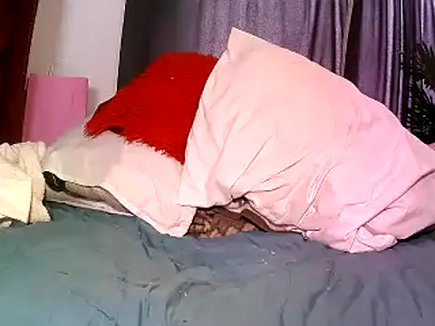 Misswhiteee online show from September 24, 2025, 12:55 pm