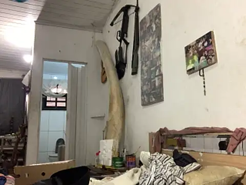 Snapshot of raphadoors19 chatting on November 23, 2025, 7:57 pm raphadoors19 online show from November 23, 2025, 7:57 pm