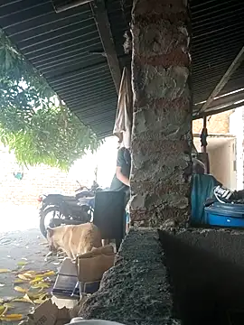 Snapshot of PrivCamZone chatting on October 12, 2025, 5:25 pm PrivCamZone online show from October 12, 2025, 5:25 pm