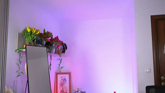 Amaliamour online show from February 26, 2025, 2:30 am