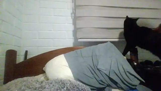 hung weeb online show from July 26, 2026, 5:14 am