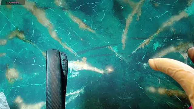 Snapshot of julieth_sex1 chatting on September 27, 2025, 4:51 am julieth sex1 online show from September 27, 2025, 4:51 am