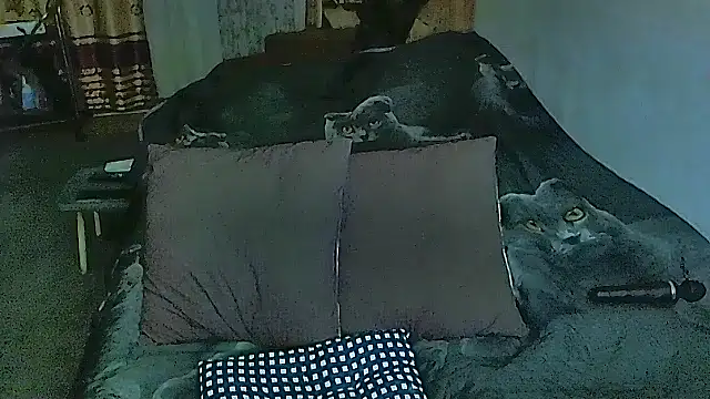 Snapshot of sex2 chatting on October 20, 2025, 9:26 pm sex2 online show from October 20, 2025, 9:26 pm