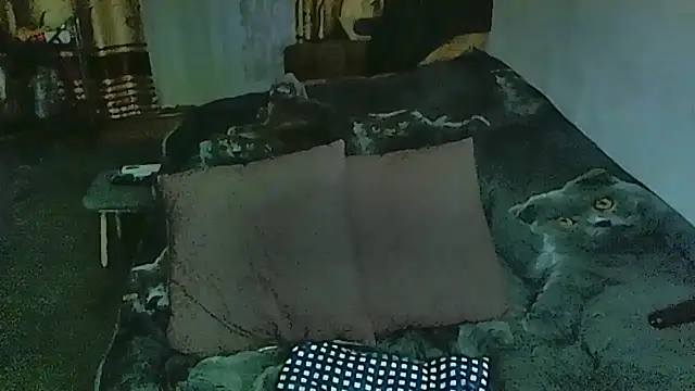 sex2 online show from March 24, 2026, 11:38 pm