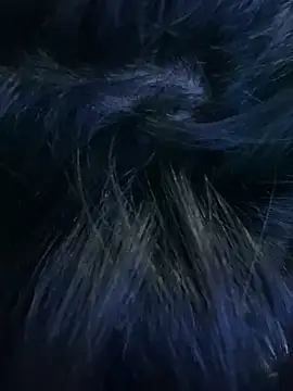 n2flix online show from December 18, 2025, 7:24 am