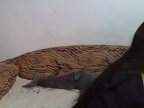 Snapshot of Aleksa_Blackdream chatting on November 28, 2025, 10:21 pm Aleksa Blackdream online show from November 28, 2025, 10:21 pm