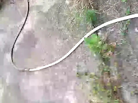 Pitercom online show from October 5, 2025, 2:02 am