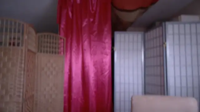 petradaniels online show from October 23, 2025, 9:46 pm