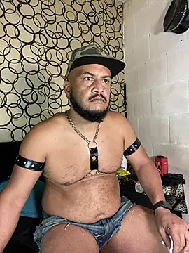 the master foal  online show from April 11, 2026, 7:16 am