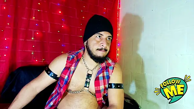 the master foal  online show from September 17, 2025, 10:39 am