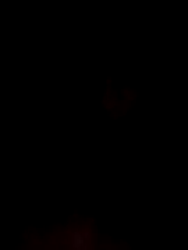 kingdennis6666 online show from November 11, 2025, 3:34 am