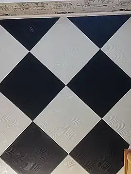 Rini333 online show from March 4, 2026, 8:44 am