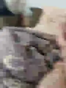 Yaramaz331 online show from March 11, 2025, 10:29 am