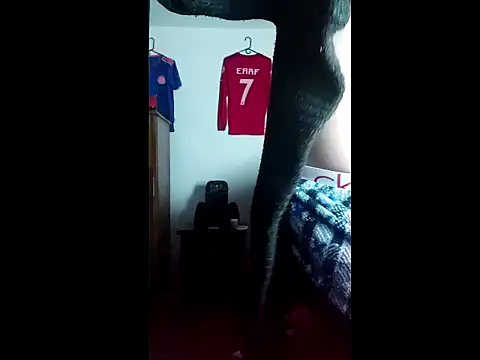 Snapshot of ALBEIROFOOTBALL1992 chatting on October 31, 2025, 3:25 am ALBEIROFOOTBALL1992 online show from October 31, 2025, 3:25 am