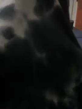 ROBOSTALLION online show from April 13, 2026, 4:33 pm