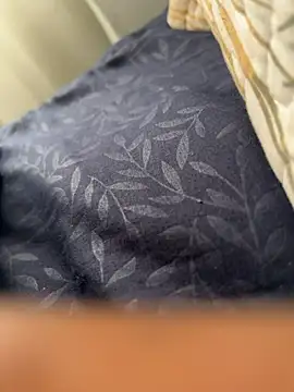 ROBOSTALLION online show from April 4, 2026, 11:39 am