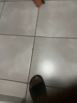 ROBOSTALLION online show from April 7, 2026, 9:27 pm