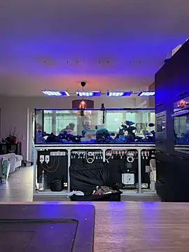 newMichelle online show from March 16, 2026, 7:12 am