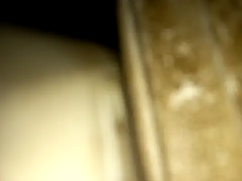 jonjob44 online show from December 14, 2025, 1:12 am