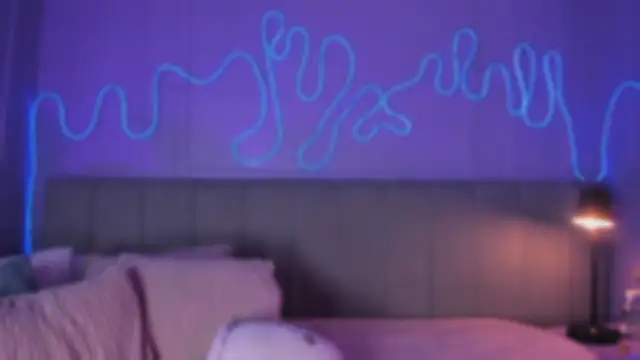 Snapshot of Sofly_s chatting on February 11, 2026, 1:55 pm Sofly s online show from February 11, 2026, 1:55 pm