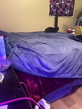 ShyKittenPlays3Some online show from January 26, 2025, 8:13 pm
