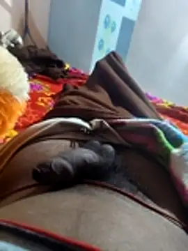 khilkhiladi online show from February 5, 2026, 7:43 pm