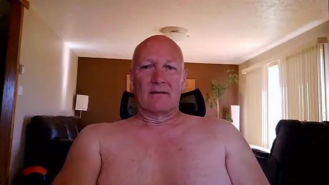 BasicAnt online show from June 1, 2026, 2:50 pm