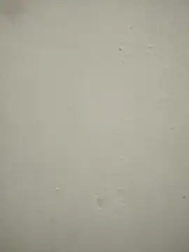 blackjack- online show from November 22, 2025, 12:37 pm