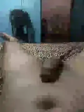 Snapshot of Emanuel45js chatting on March 4, 2025, 6:50 pm Emanuel45js online show from March 4, 2025, 6:50 pm