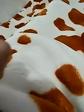 naghmi12 online show from April 15, 2026, 12:53 pm