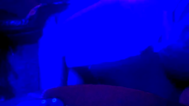 Snapshot of Crystalbitchx chatting on October 31, 2025, 4:47 pm Crystalbitchx online show from October 31, 2025, 4:47 pm