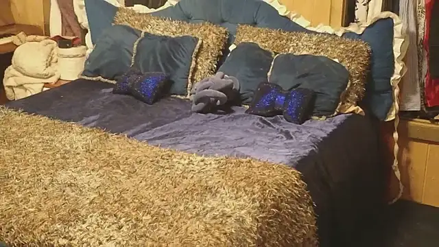 Snapshot of VanessaDoyle chatting on January 17, 2026, 11:47 am VanessaDoyle online show from January 17, 2026, 11:47 am