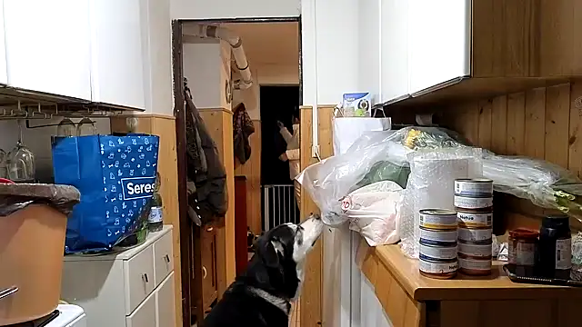 VanessaDoyle online show from February 20, 2026, 6:21 pm