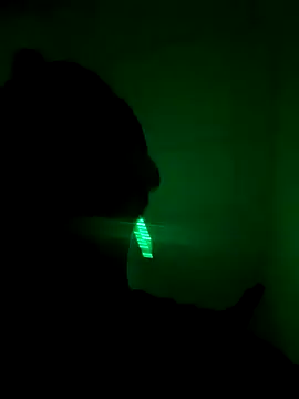 Snapshot of TigerOne19 chatting on October 27, 2025, 12:11 am TigerOne19 online show from October 27, 2025, 12:11 am