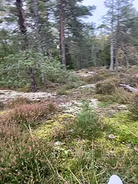 Snapshot of Andreashow chatting on September 26, 2025, 3:30 pm Andreashow online show from September 26, 2025, 3:30 pm