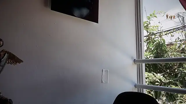 Snapshot of romeolovedark chatting on September 15, 2025, 3:56 pm romeolovedark online show from September 15, 2025, 3:56 pm