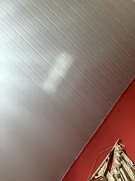 Snapshot of pimenta_gaby chatting on November 2, 2025, 5:07 pm pimenta gaby online show from November 2, 2025, 5:07 pm