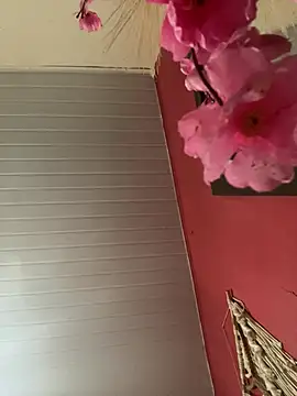 pimenta gaby online show from April 17, 2026, 3:37 pm